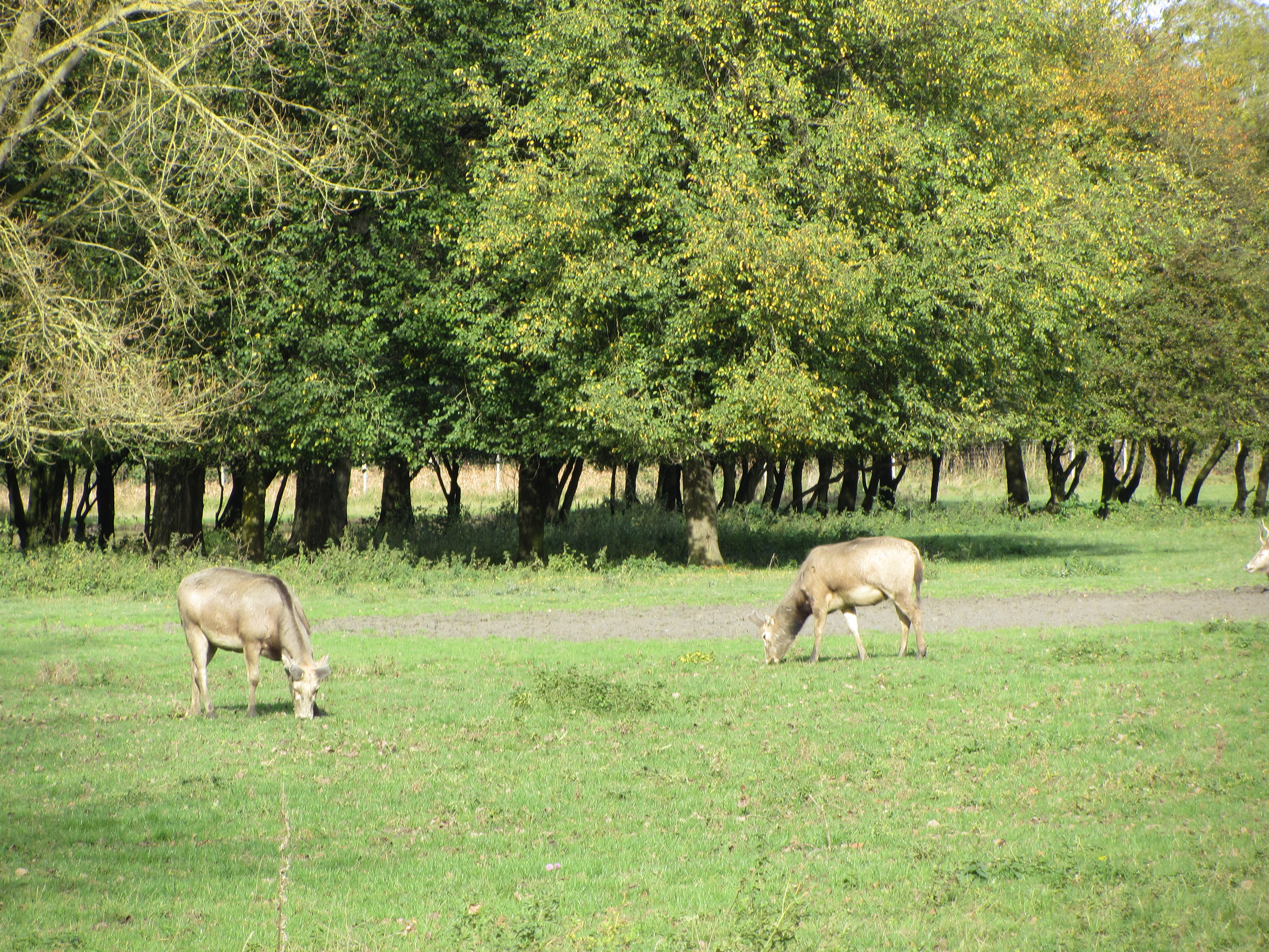 Ipad Marianne 077.JPG